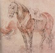 Peter Paul Rubens Horse Sweden oil painting artist